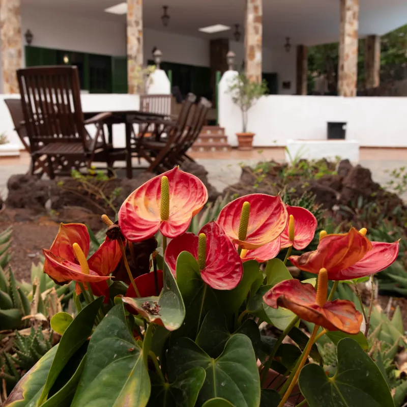 Villa La Finca - Exterior Villa La Finca - Exterior